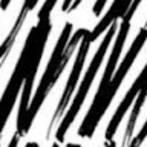 Meet your Posher, Perri